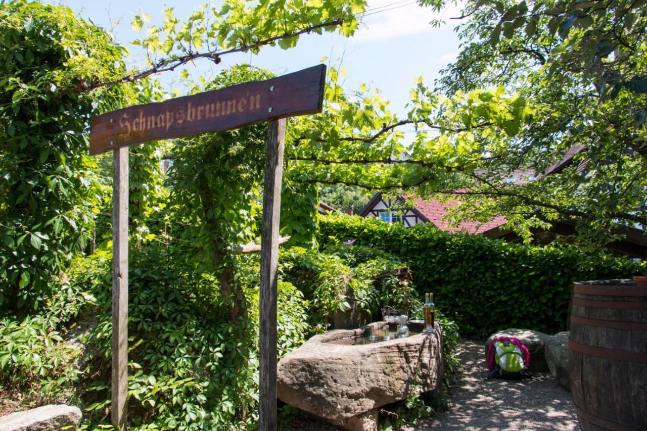 Terrassenpark Apartments Sasbachwalden Esterno foto